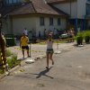 Falunap 2017